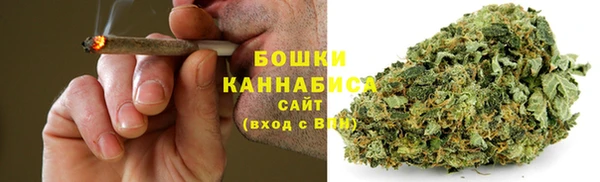 прущие грибы Нефтекумск