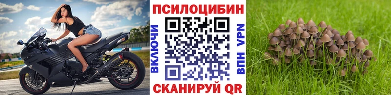 даркнет сайт  Серафимович  Псилоцибиновые грибы мухоморы 